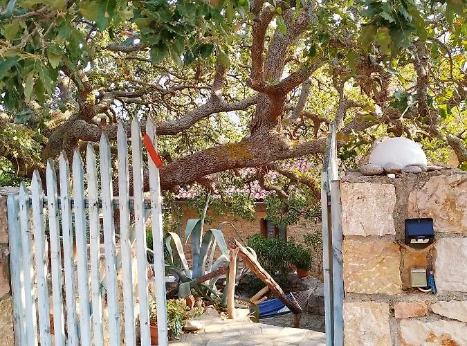 Wellanidia Skoutari Hébergement de vacances