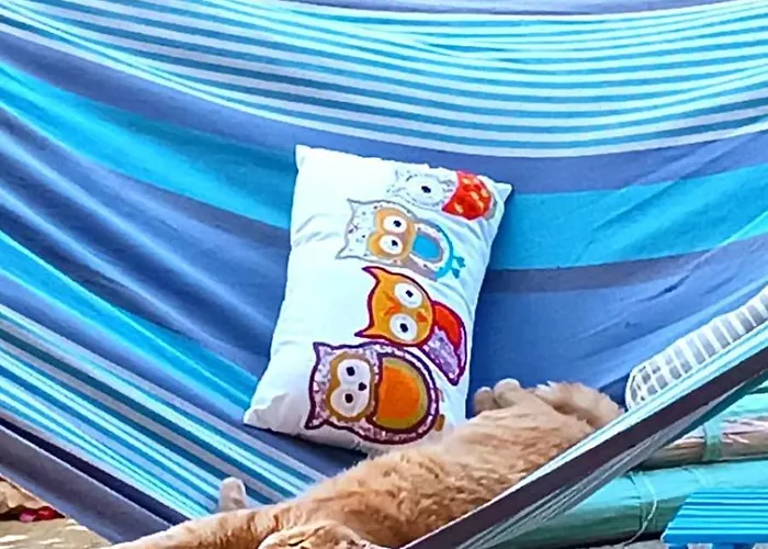 Hébergement de vacances Wellanidia Skoutari