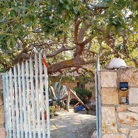 Wellanidia Skoutari Vakantiehuis