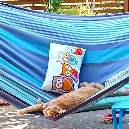 Feriehus Wellanidia Skoutari