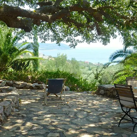 Wellanidia Skoutari *