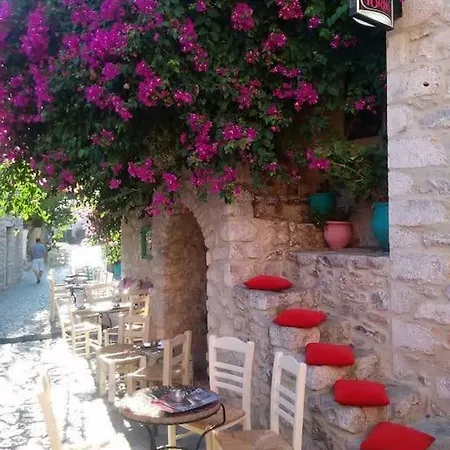 Wellanidia Skoutari *