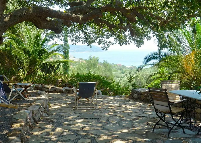 Wellanidia Skoutari *