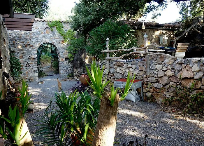 Wellanidia Skoutari * Γύθειο